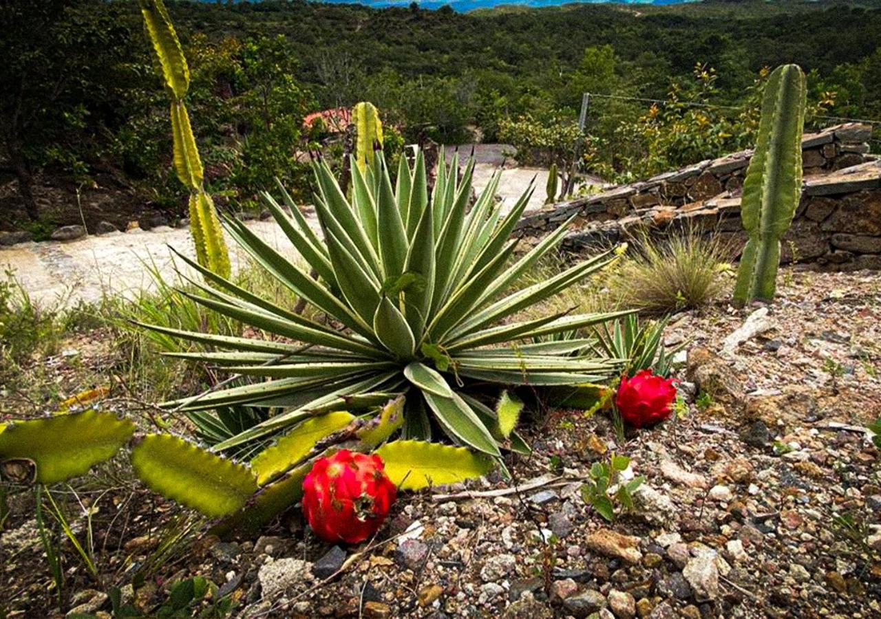 Destino Hotel & Hot Springs - Lujoso Hotel En Provincia Guanacaste, San Bernando De Bagaces, Bagaces Zewnętrze zdjęcie